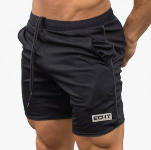 Men Breathable Light Mesh Quick Dry Sportswear Fitness Bodybuilding Shorts Men Summer Gyms Workout Male Jogger Beach Short Pants